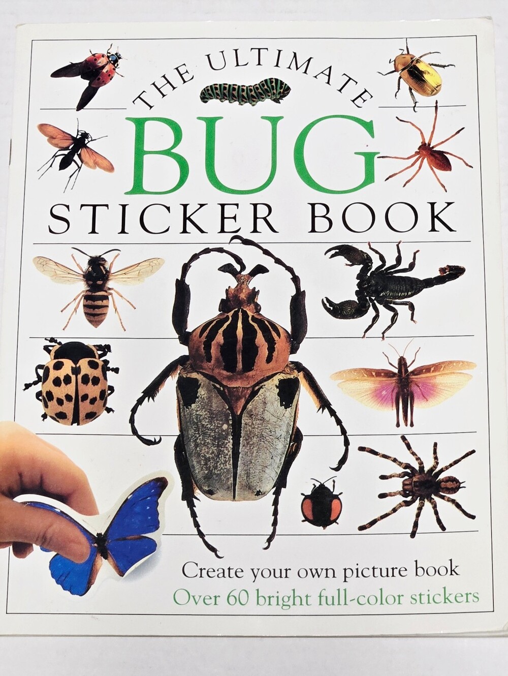 The Ultimate Bug Sticker Book DK Over 60 Reusable Stickers